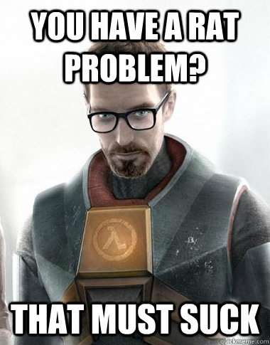 You have a rat problem? That must suck  Unimpressed Gordon Freeman