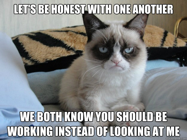 LET'S BE HONEST WITH ONE ANOTHER We Both Know you should be working instead of looking at me - LET'S BE HONEST WITH ONE ANOTHER We Both Know you should be working instead of looking at me  Grumpy Cat II