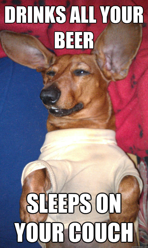 DRINKS ALL YOUR BEER SLEEPS ON YOUR COUCH - DRINKS ALL YOUR BEER SLEEPS ON YOUR COUCH  What a pal!!