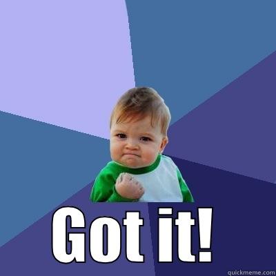  GOT IT! Success Kid