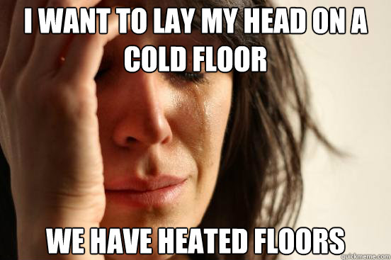 I want to lay my head on a cold floor We have heated floors Caption 3 goes here Caption 4 goes here  First World Problems
