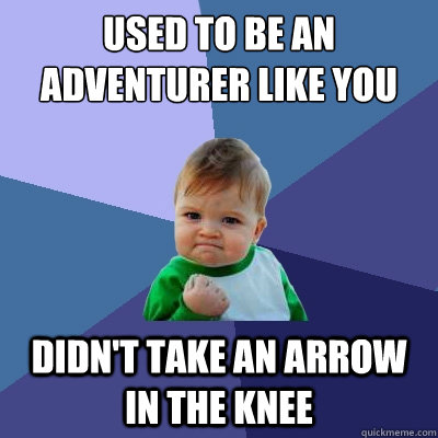 Used to be an adventurer like you Didn't take an arrow in the knee  Success Kid