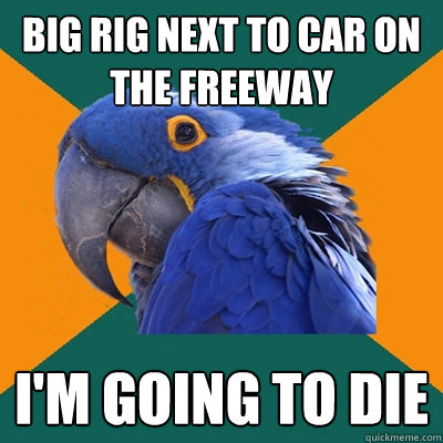 Big Rig next to car on the freeway I'm going to die  Paranoid Parrot