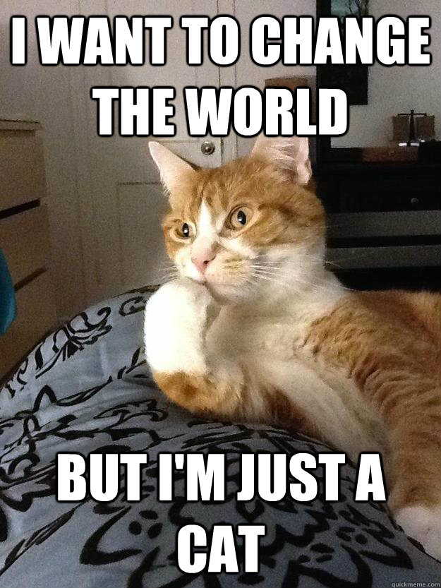 I want to change the world But i'm just a cat - I want to change the world But i'm just a cat  Depressed cat