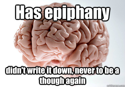 Has epiphany didn't write it down, never to be a though again   Scumbag Brain