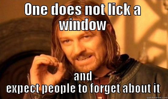 ONE DOES NOT LICK A WINDOW AND EXPECT PEOPLE TO FORGET ABOUT IT Boromir