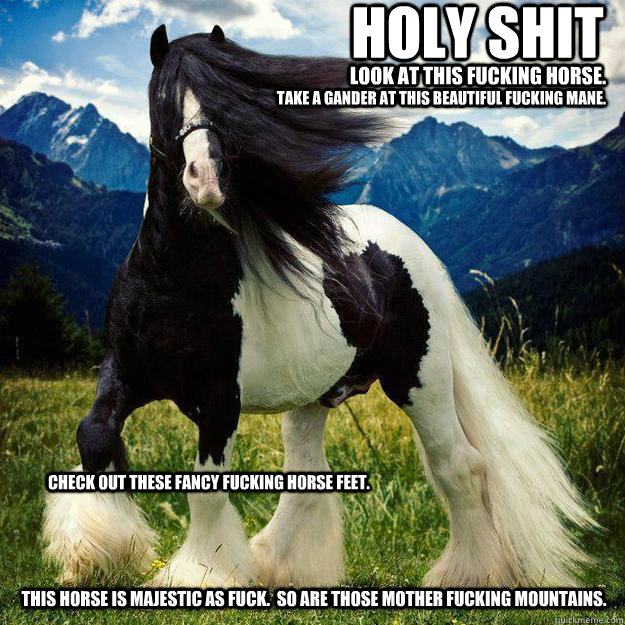 holy shit look at this fucking horse. take a gander at this beautiful fucking mane. check out these fancy fucking horse feet. This horse is majestic as fuck.  So are those mother fucking mountains.  
