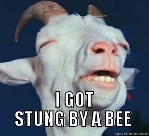 Goat Grass -   I GOT STUNG BY A BEE Misc