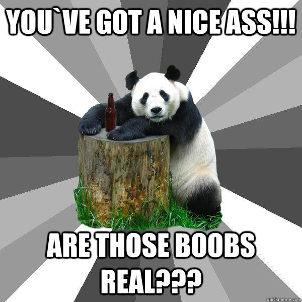 YOU`VE GOT A NICE ASS!!! ARE THOSE BOOBS REAL???  Pickup-Line Panda