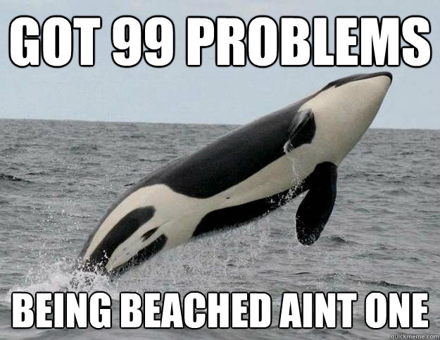 got 99 problems being beached aint one  