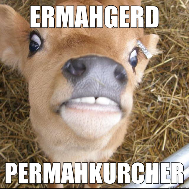 ERMAHGERD PERMAHKURCHER  
