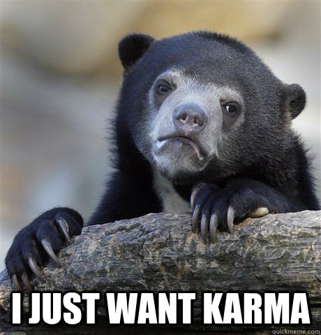  I just want Karma  Confession Bear