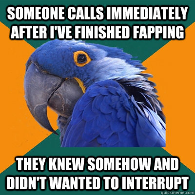 someone calls immediately after i've finished fapping they knew somehow and didn't wanted to interrupt  Paranoid Parrot