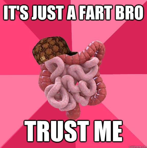 IT'S JUST A FART Bro TRUST ME - IT'S JUST A FART Bro TRUST ME  Scumbag Intestines