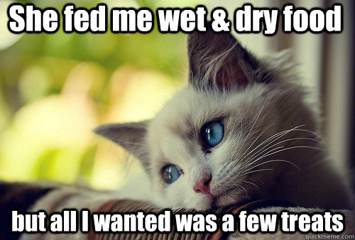 She fed me wet & dry food but all I wanted was a few treats  First World Problems Cat