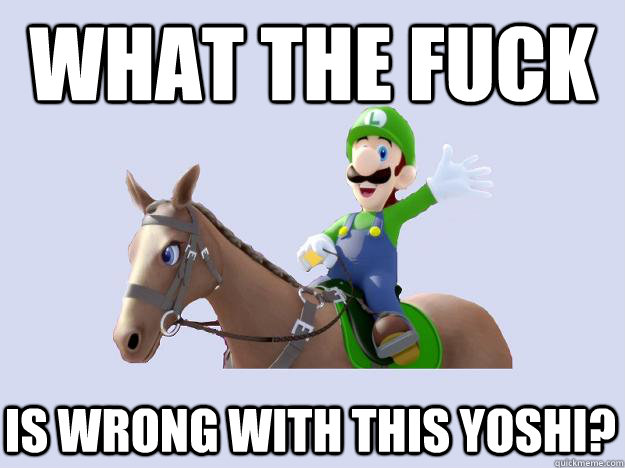 WHAT THE FUCK IS WRONG WITH THIS YOSHI?  
