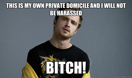 This is my own private domicile and I will not be harassed bitch! - This is my own private domicile and I will not be harassed bitch!  Jesse Pinkman Loves the word Bitch