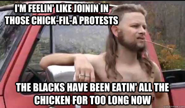 I'm feelin' like joinin in those chick-fil-a protests the blacks have been eatin' all the chicken for too long now  Almost Politically Correct Redneck