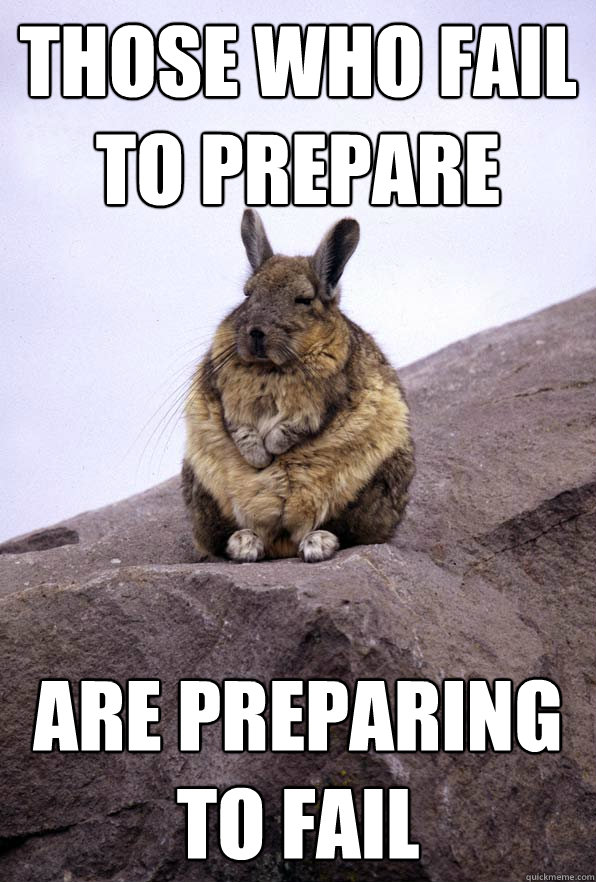 Those who fail to prepare are preparing to fail  Wise Wondering Viscacha