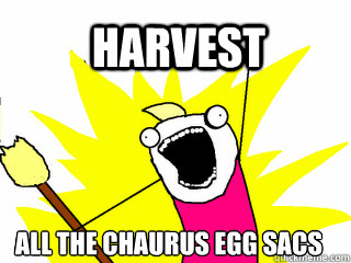 Harvest all the Chaurus egg sacs  All The Things