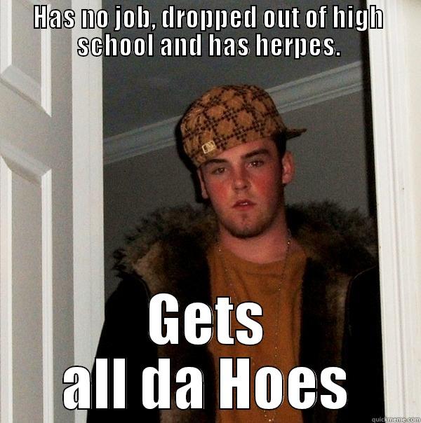 HAS NO JOB, DROPPED OUT OF HIGH SCHOOL AND HAS HERPES. GETS ALL DA HOES Scumbag Steve