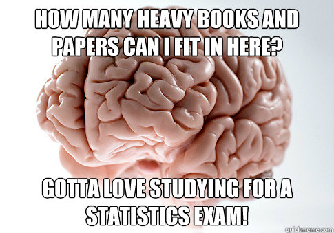 How many heavy books and papers can I fit in here? Gotta love studying for a statistics exam!  Scumbag Brain