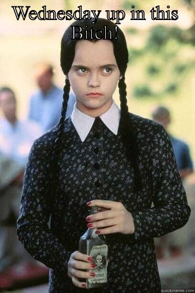 WEDNESDAY UP IN THIS BITCH!  Misc