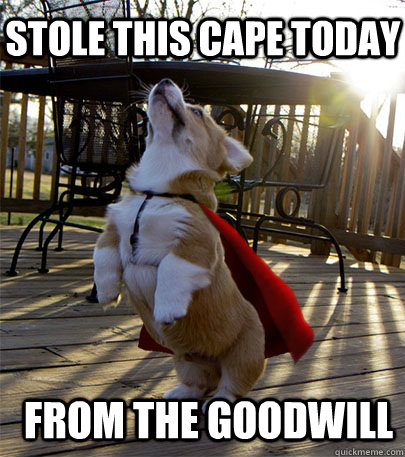 stole this cape today from the goodwill - stole this cape today from the goodwill  Corgi Thug