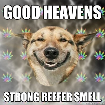 good heavens strong reefer smell   Stoner Dog