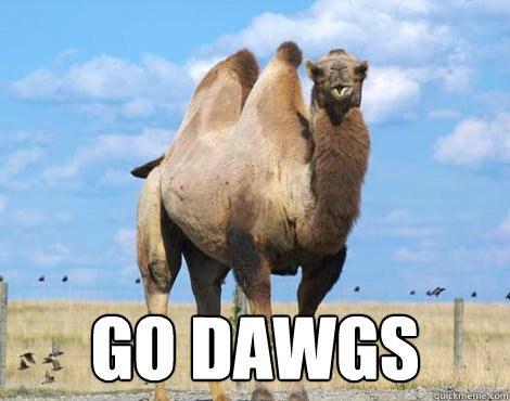  Go Dawgs  BUTLER CAMEL