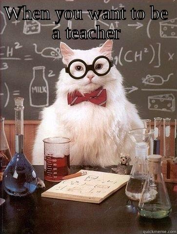 WHEN YOU WANT TO BE A TEACHER  Chemistry Cat