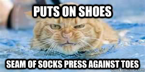 Puts on shoes seam of socks press against toes  Uncomfortable Cat