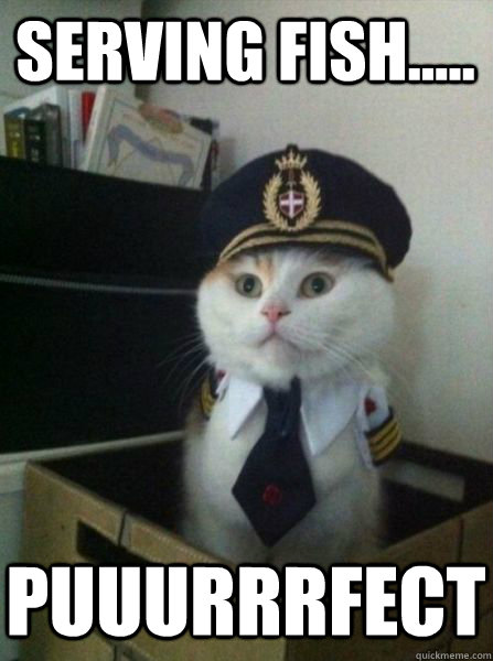 serving fish..... Puuurrrfect  Captain kitteh