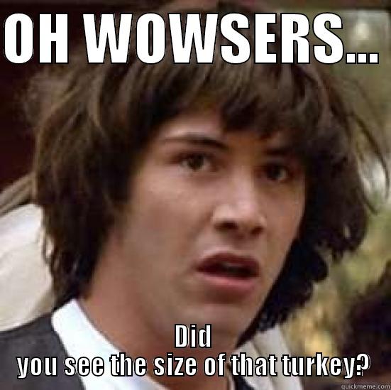 OH WOWSERS...  DID YOU SEE THE SIZE OF THAT TURKEY? conspiracy keanu