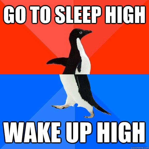 go to sleep high wake up high  socially awkward penguin socially awesome penguin
