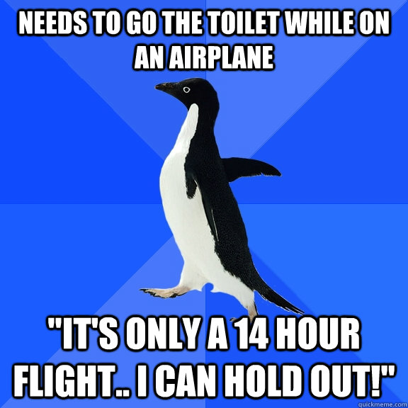Needs to go the toilet while on an airplane 