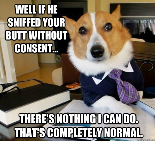 Well if he sniffed your butt without consent... there's nothing i can do. that's completely normal.  Lawyer Dog