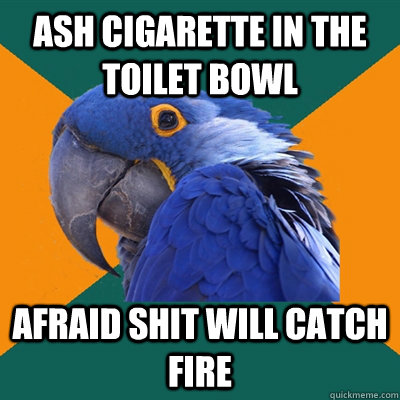 ash cigarette in the toilet bowl afraid shit will catch fire  Paranoid Parrot