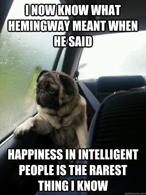 I now know what Hemingway meant when he said Happiness in intelligent people is the rarest thing I know  Introspective Pug