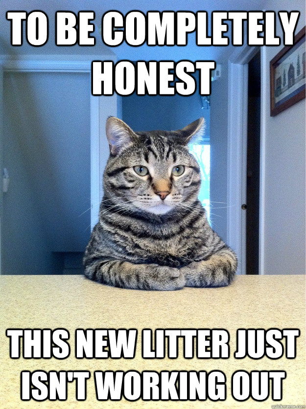 to be completely honest this new litter just isn't working out  Conversation Cat
