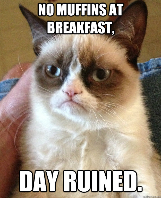 No muffins at breakfast, Day ruined. - No muffins at breakfast, Day ruined.  Grumpy Cat