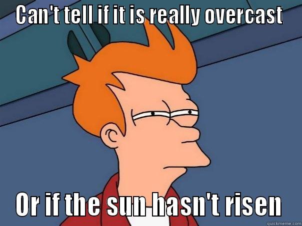 CAN'T TELL IF IT IS REALLY OVERCAST OR IF THE SUN HASN'T RISEN Futurama Fry