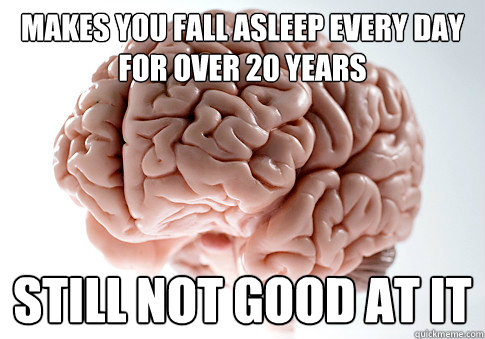 makes you Fall asleep every day for over 20 years still not good at it - makes you Fall asleep every day for over 20 years still not good at it  Scumbag Brain