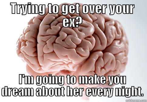 TRYING TO GET OVER YOUR EX? I'M GOING TO MAKE YOU DREAM ABOUT HER EVERY NIGHT. Scumbag Brain