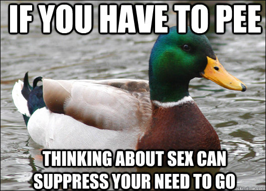 if you have to pee thinking about sex can suppress your need to go  Actual Advice Mallard