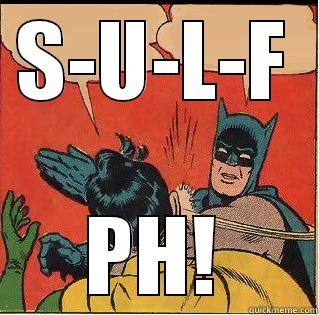 S-U-L-F PH! Slappin Batman