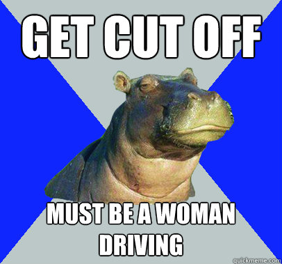Get cut off must be a woman driving  Skeptical Hippo