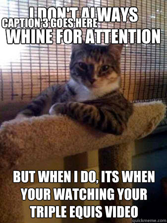 I don't always whine for attention  but when I do, its when your watching your triple equis video Caption 3 goes here  The Most Interesting Cat in the World