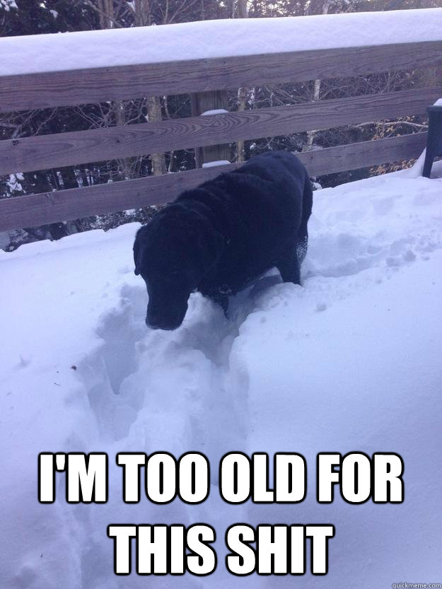  i'm too old for this shit  