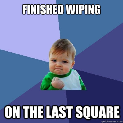 Finished wiping on the last square  Success Kid